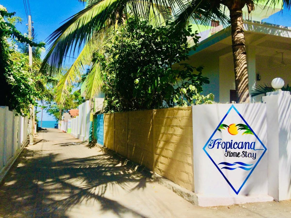 Tropicana Home Stay 아루감 베이 외부 사진
