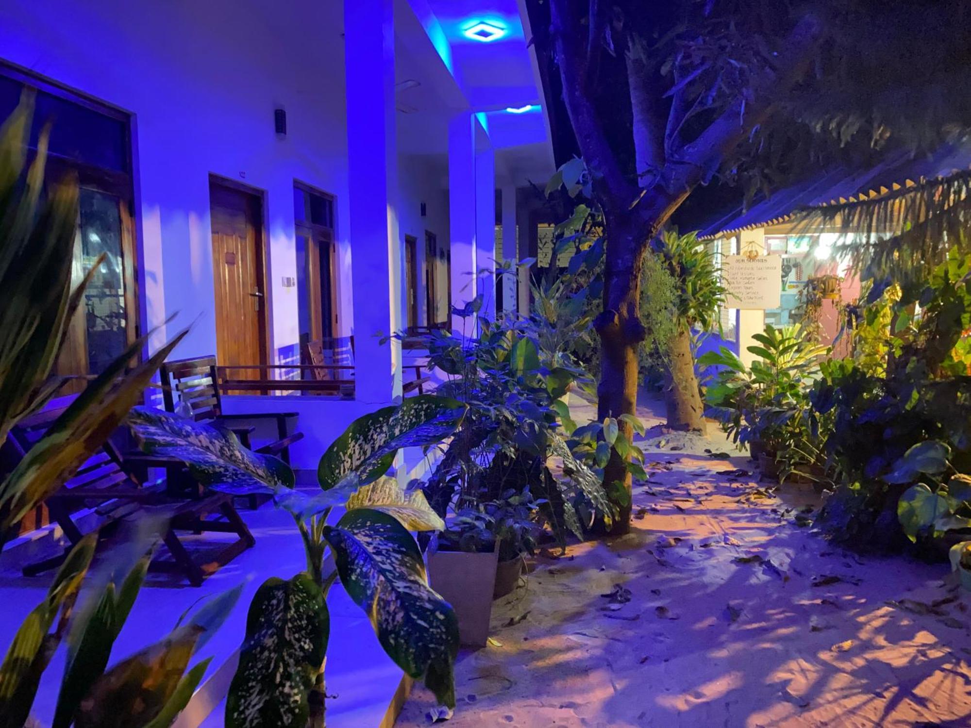 Tropicana Home Stay 아루감 베이 외부 사진
