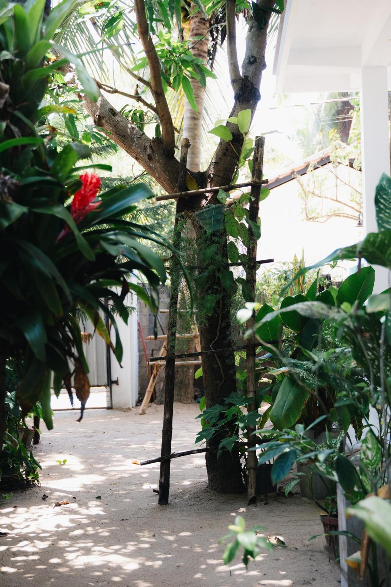 Tropicana Home Stay 아루감 베이 외부 사진