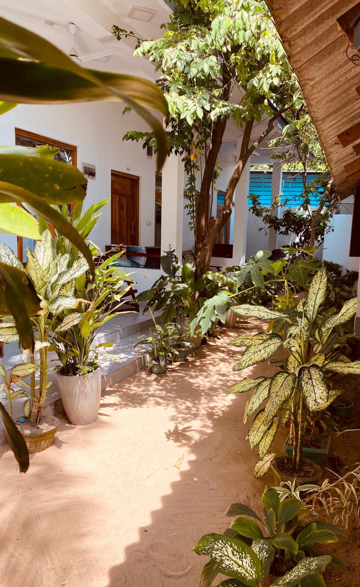 Tropicana Home Stay 아루감 베이 외부 사진